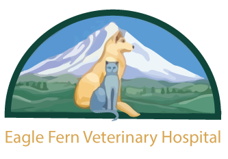 Eagle-Fern-Veterinary-Hospital